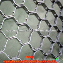Heat resisting Stainless steel Tortoise Shell Mesh(Factory)